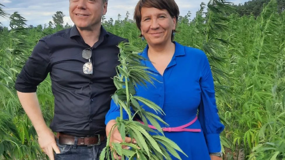 Martin Schirdewan und Katharina Slanina stehen in einem Hanffeld