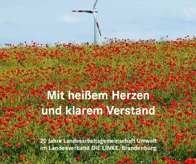 Titelbild der Broschüre zu 20 Jahren LAG Umwelt