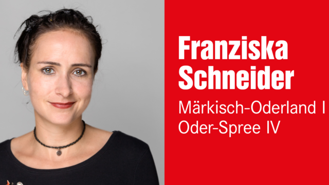 Franziska Schneider, Wahlkreis 31 – Märkisch-Oderland I/Oder-Spree IV