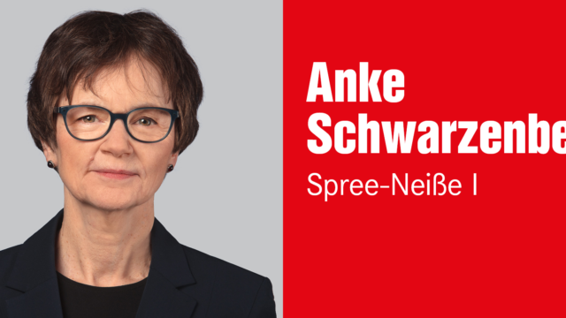 Anke Schwarzenberg, Wahlkreis 41 – Spree-Neiße I